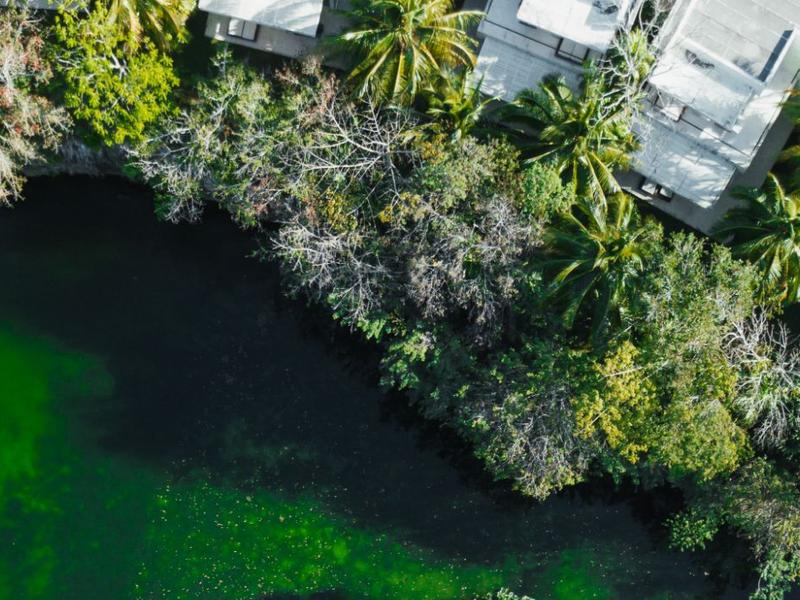 Cenote Bath Blue Diamond Luxury Boutique Hotel Riviera Maya Cenote Bath Blue Diamond Luxury Boutique Hotel Riviera Maya