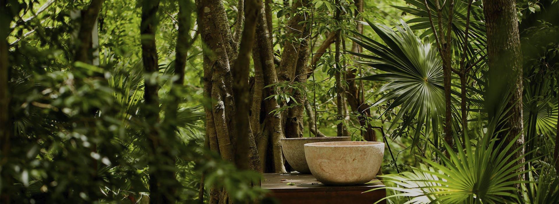Blue Diamond Luxury Boutique Hotel  Blue Diamond Luxury Boutique Hotel Riviera Maya Blue Diamond Luxury Boutique Hotel  Blue Diamond Luxury Boutique Hotel Riviera Maya